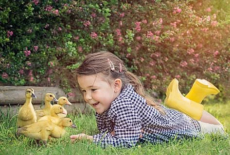 girl with ducks